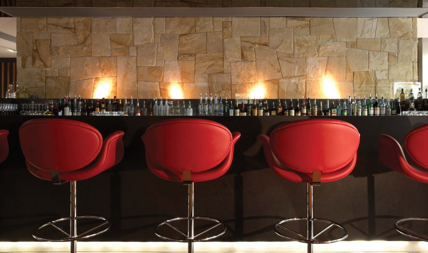 EcoSmart Fire BK5 Ethanol Burner Stainless Steel